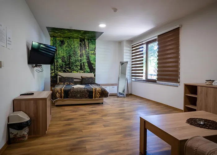 Jasen - Bjelasnica Appartement *